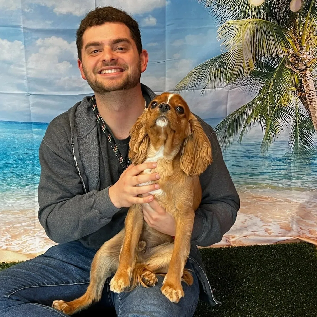 A relaxed dog at the Happy Dogs daycare facility in Muncie