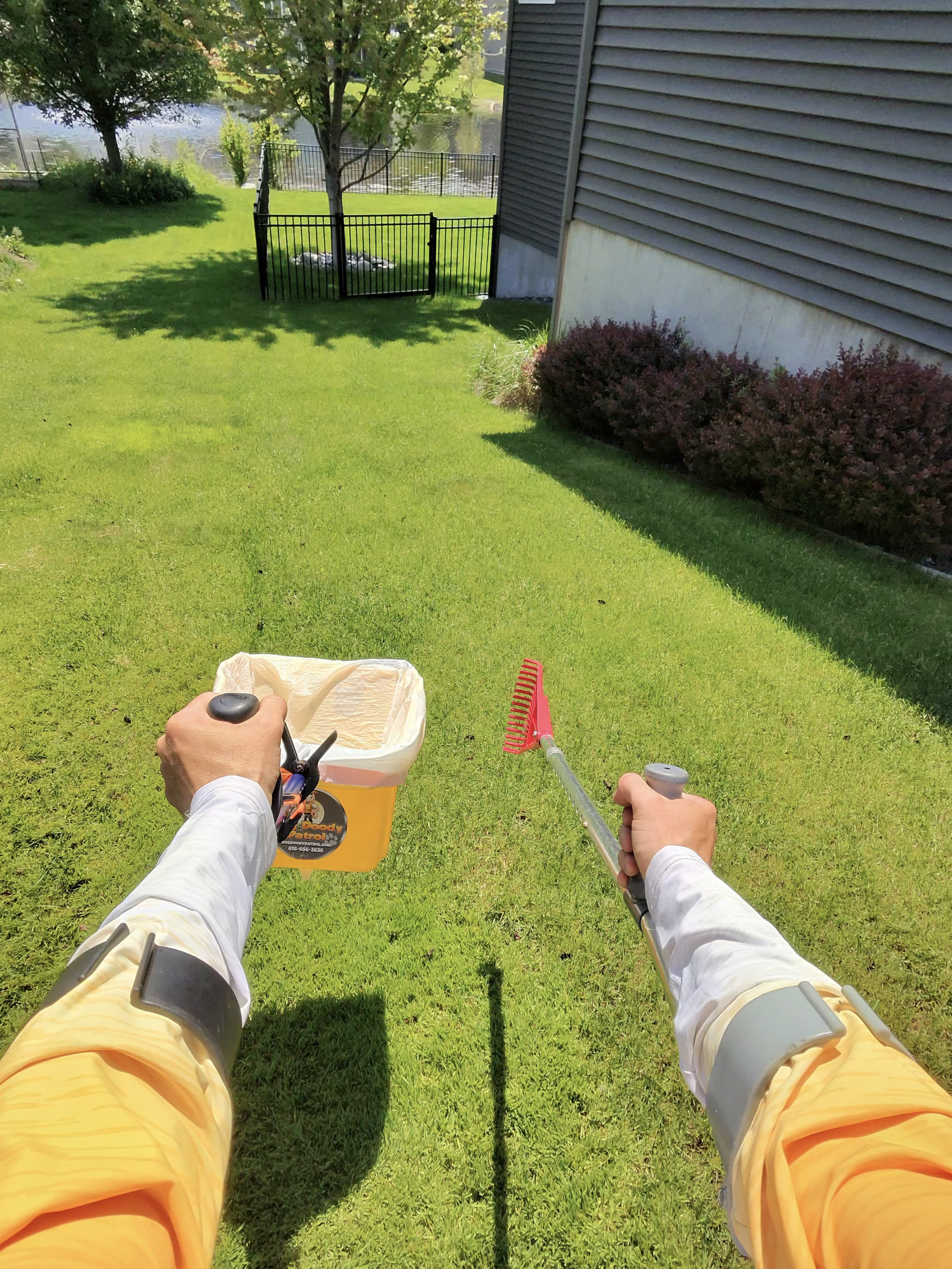 Weekly Dog Waste Removal in Grand Rapids