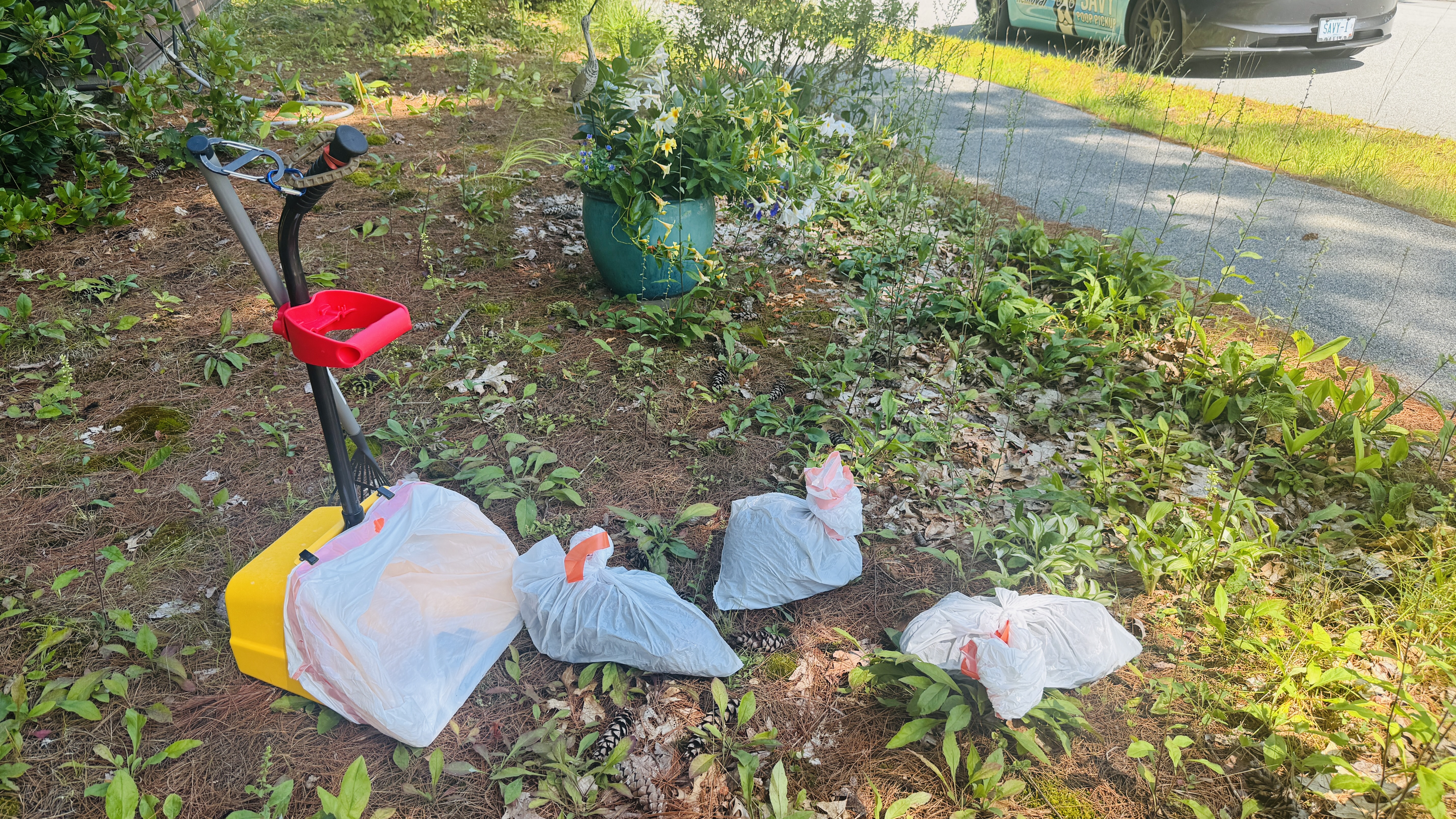 Yellow pet waste scoop with a red handle beside filled white bags during a yard cleanup
