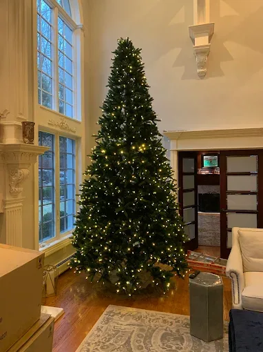 Christmas lighting installed by JVS Christmas Lighting