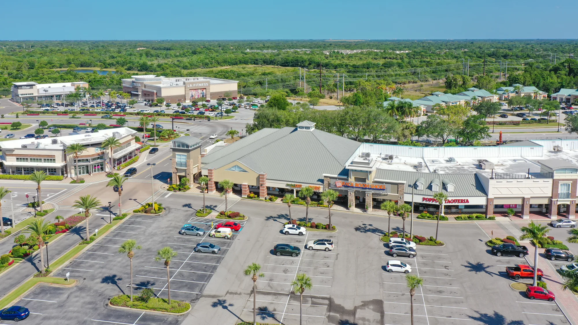 An aerial view of a shopping complex featuring various storefronts, including LA Fitness and a bookstore, surrounded by a spacious parking lot. Lush greenery and a rural landscape are visible in the background, providing a contrast to the commercial area.