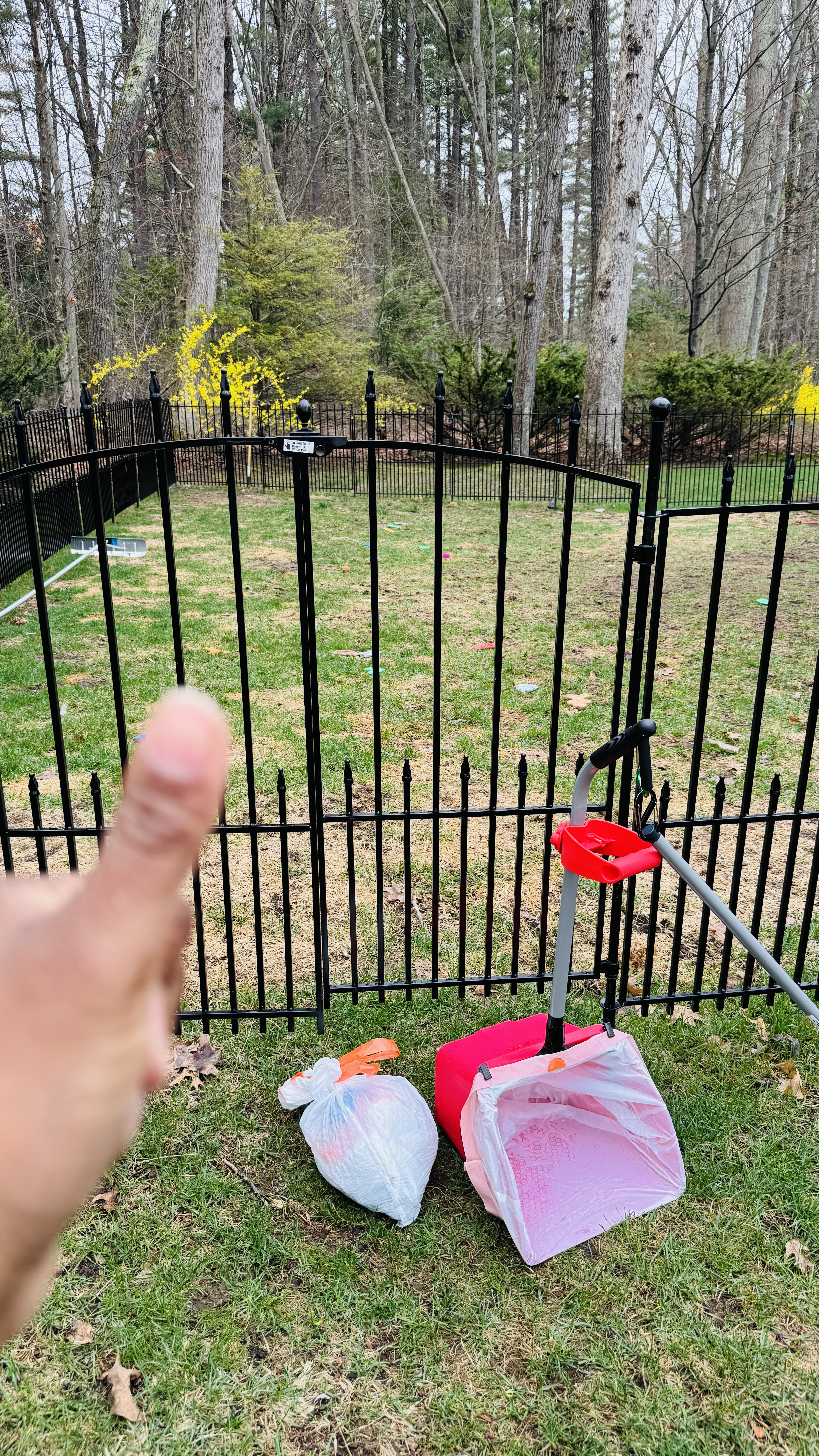 Fenced backyard with collected bags and a container ready for removal during a one time cleanup