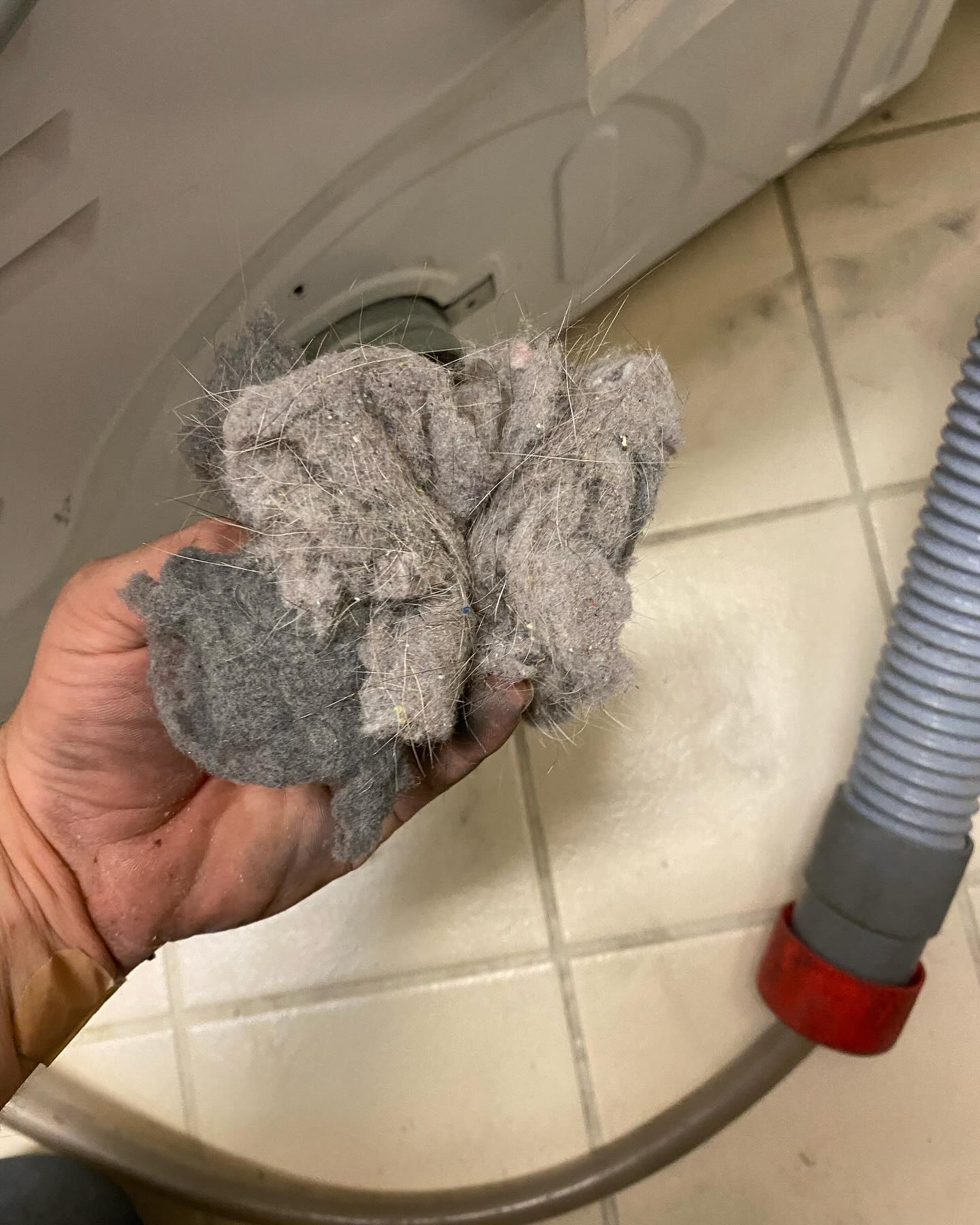 Large clump of dryer lint removed during a professional vent cleaning