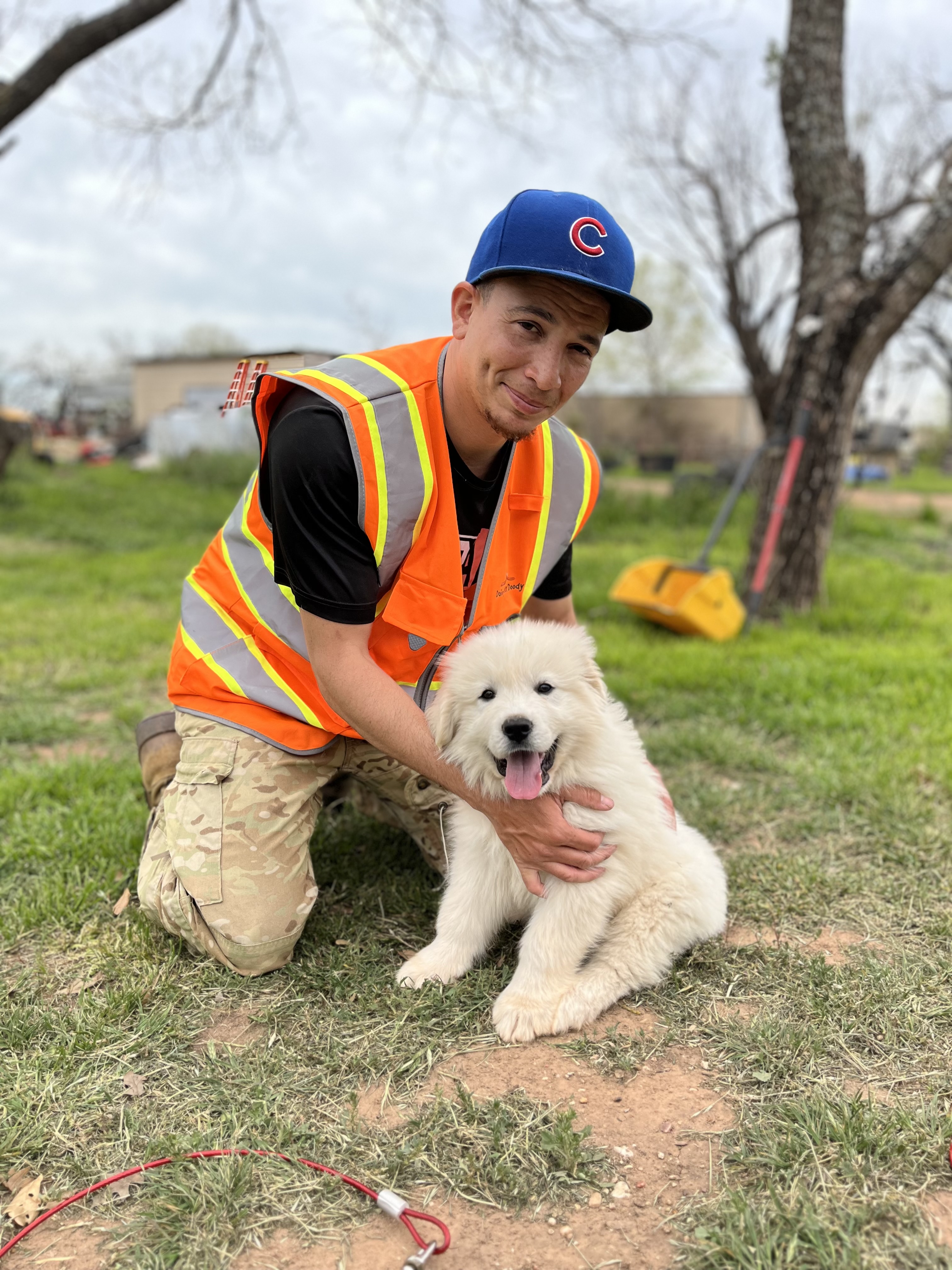 A man in an orange safety vest and blue cap kneels on the grass beside a fluffy golden retriever puppy