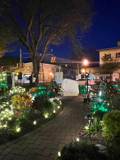 Commercial Christmas Lighting