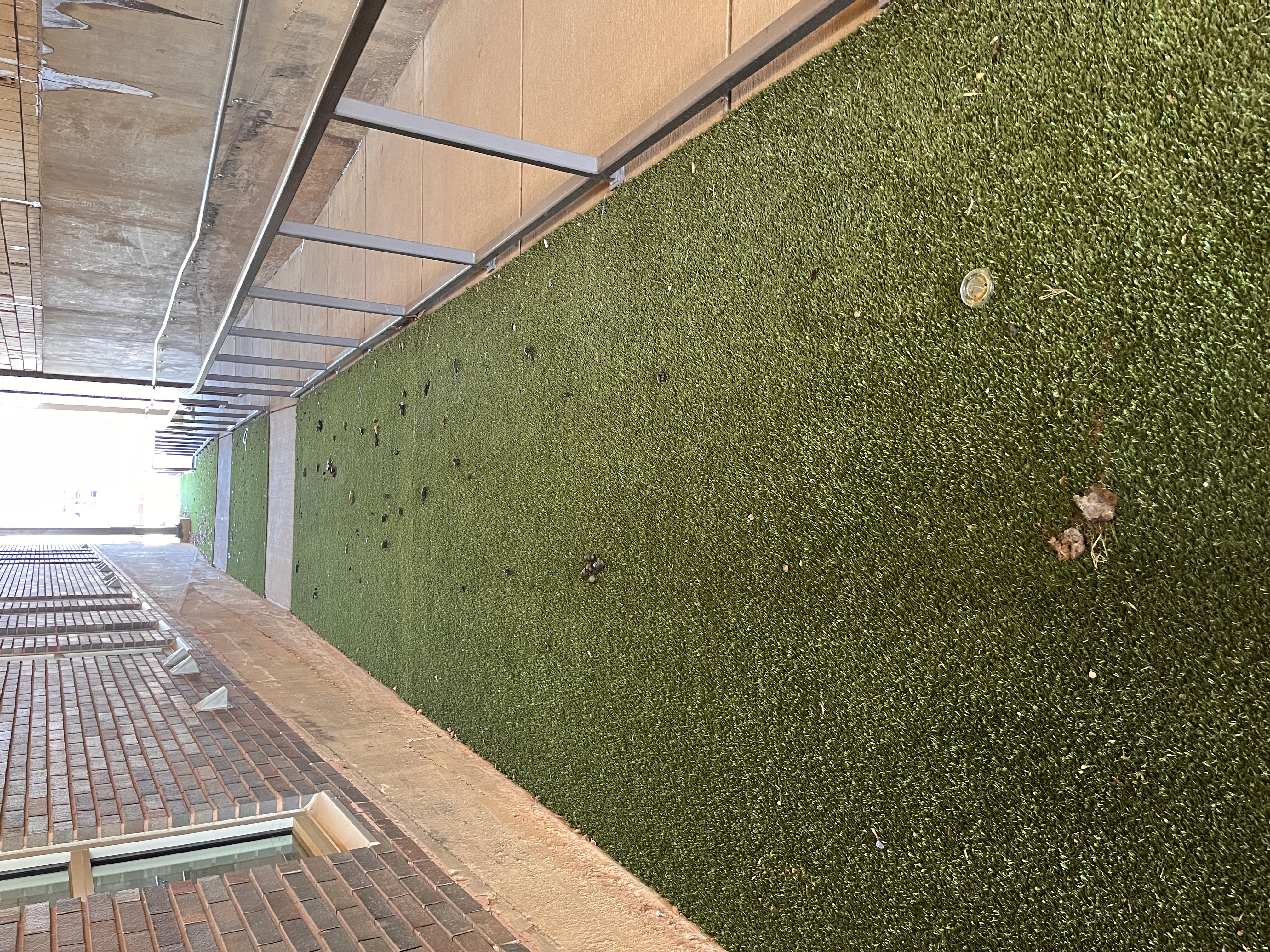 Narrow outdoor pathway lined with artificial turf between brick walls, with debris and leaves scattered across the surface
