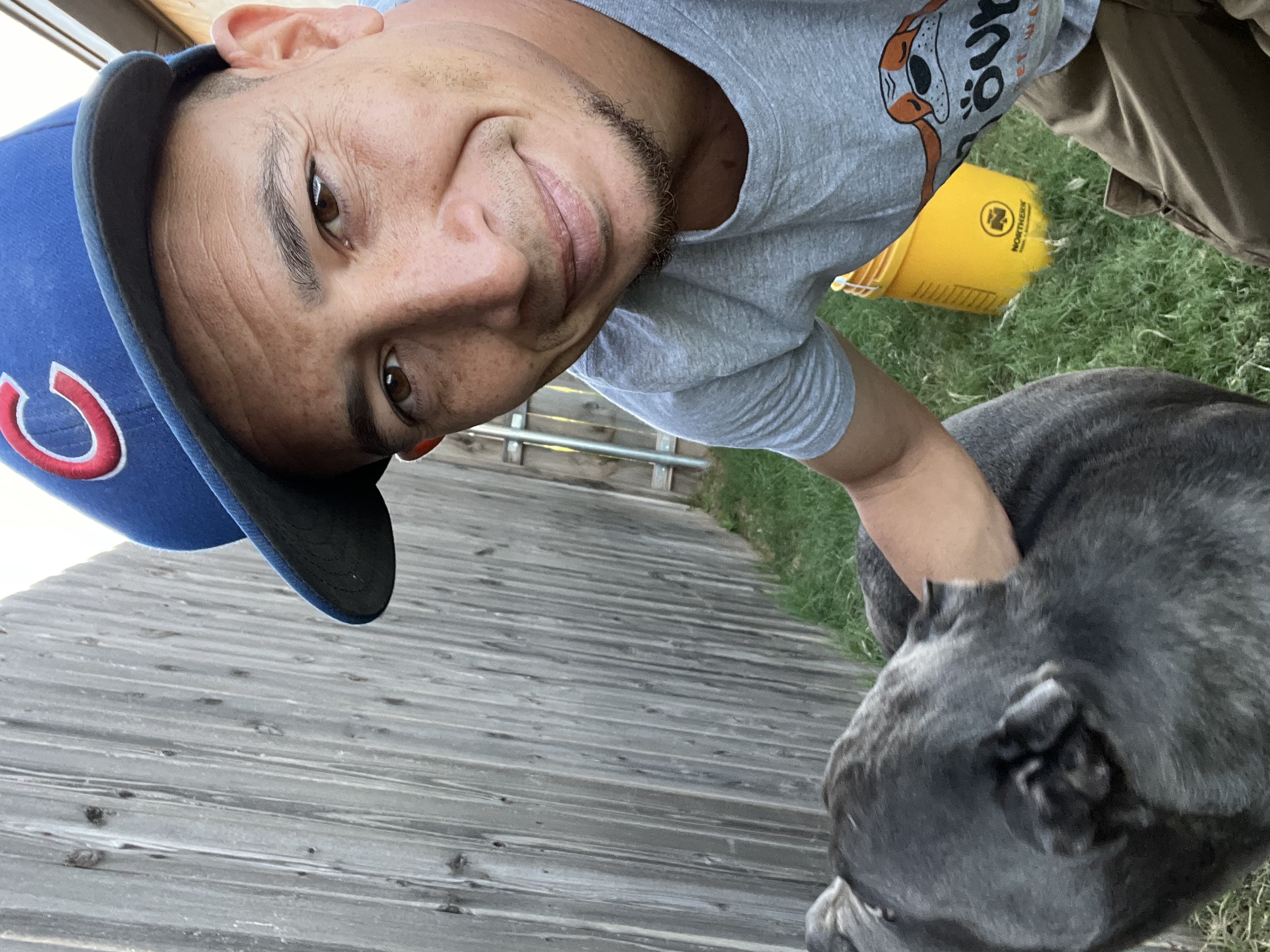 A man wearing a blue cap and gray t-shirt smiles while petting a large gray dog in a grassy area beside a wooden fence
