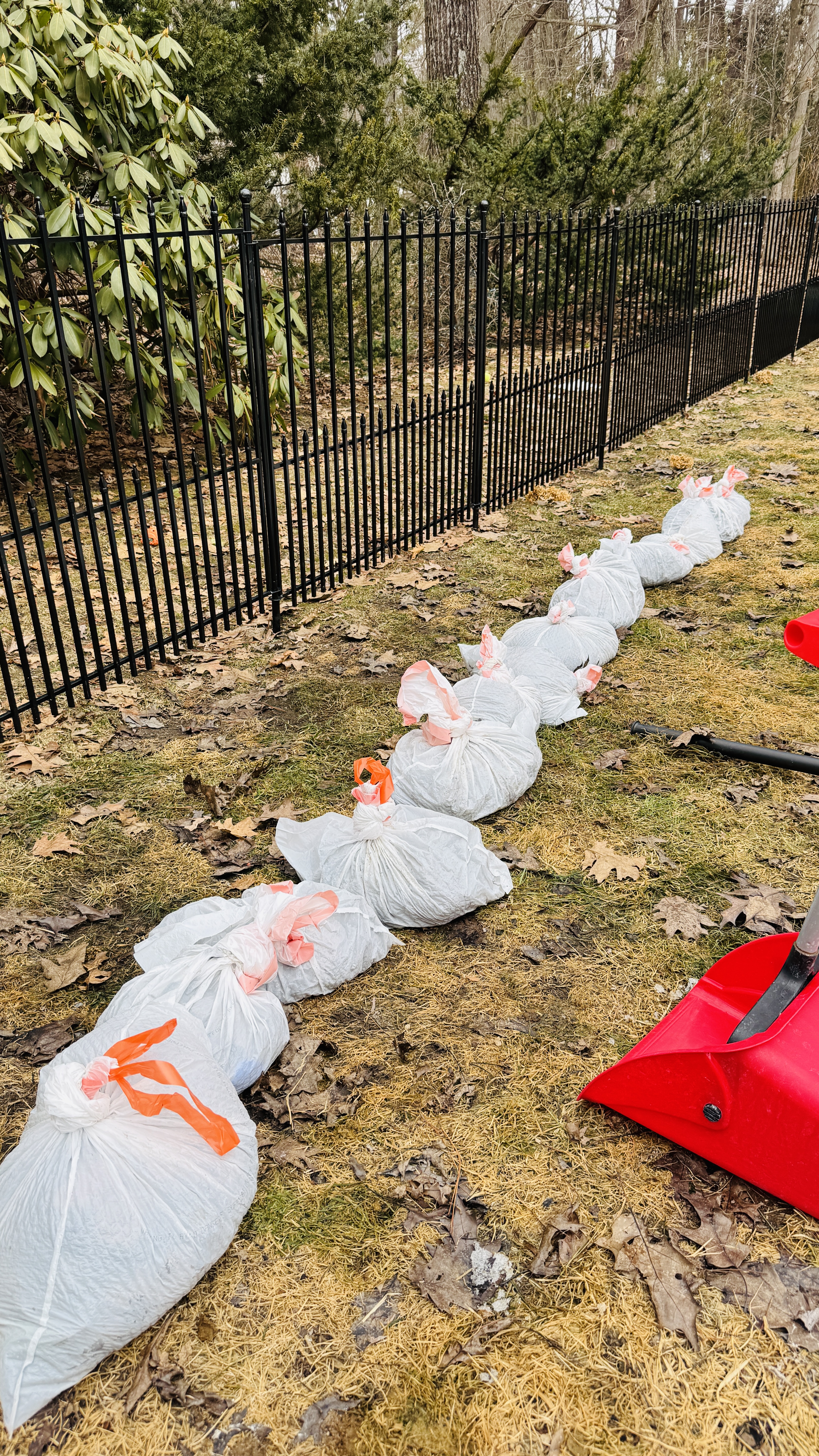 Row of filled yard waste bags lined up along a black metal fence after a full yard cleanup