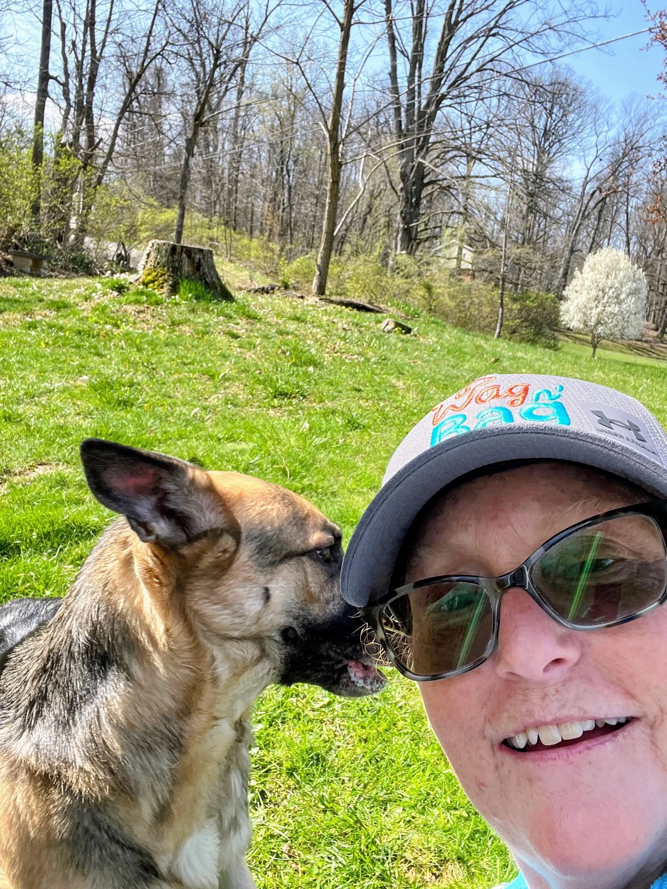 We love dogs as much as you do