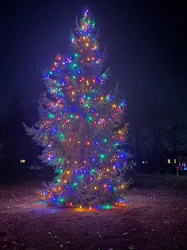 Residential Christmas Lighting in Bergen County, NJ