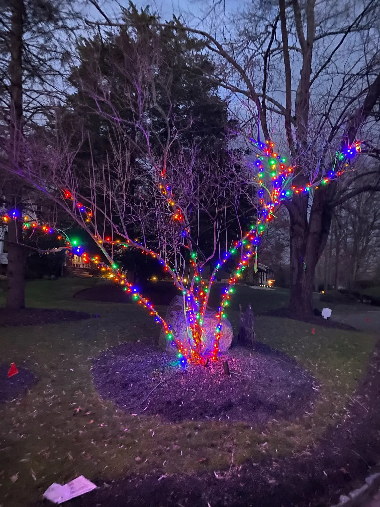 Christmas lighting installed by JVS Christmas Lighting