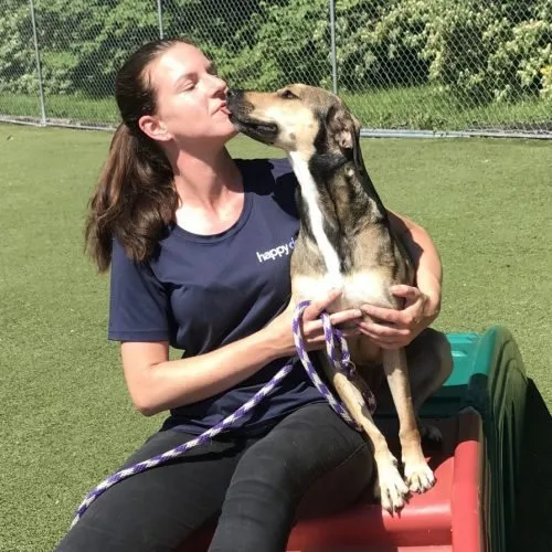 A Happy Dogs staff member caring for a dog at the Muncie facility