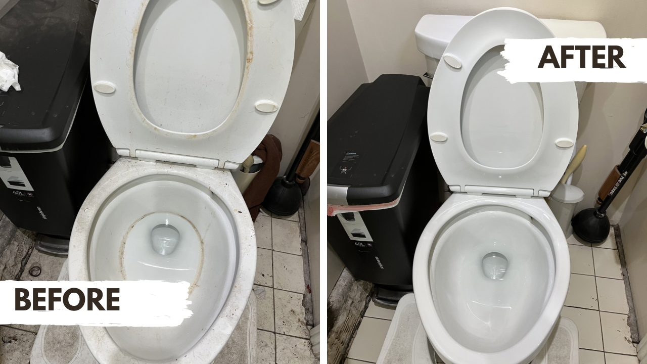 Before and after toilet cleaning transformation in Arcadia