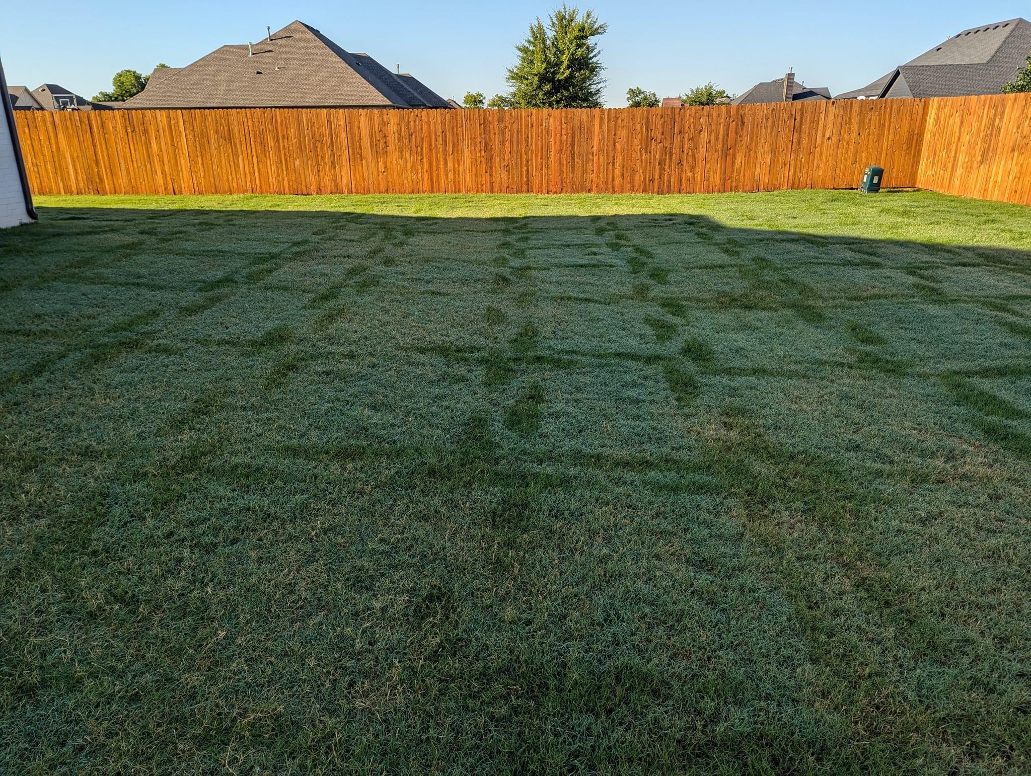 Freshly mowed backyard lawn with neat mowing patterns and wooden fence