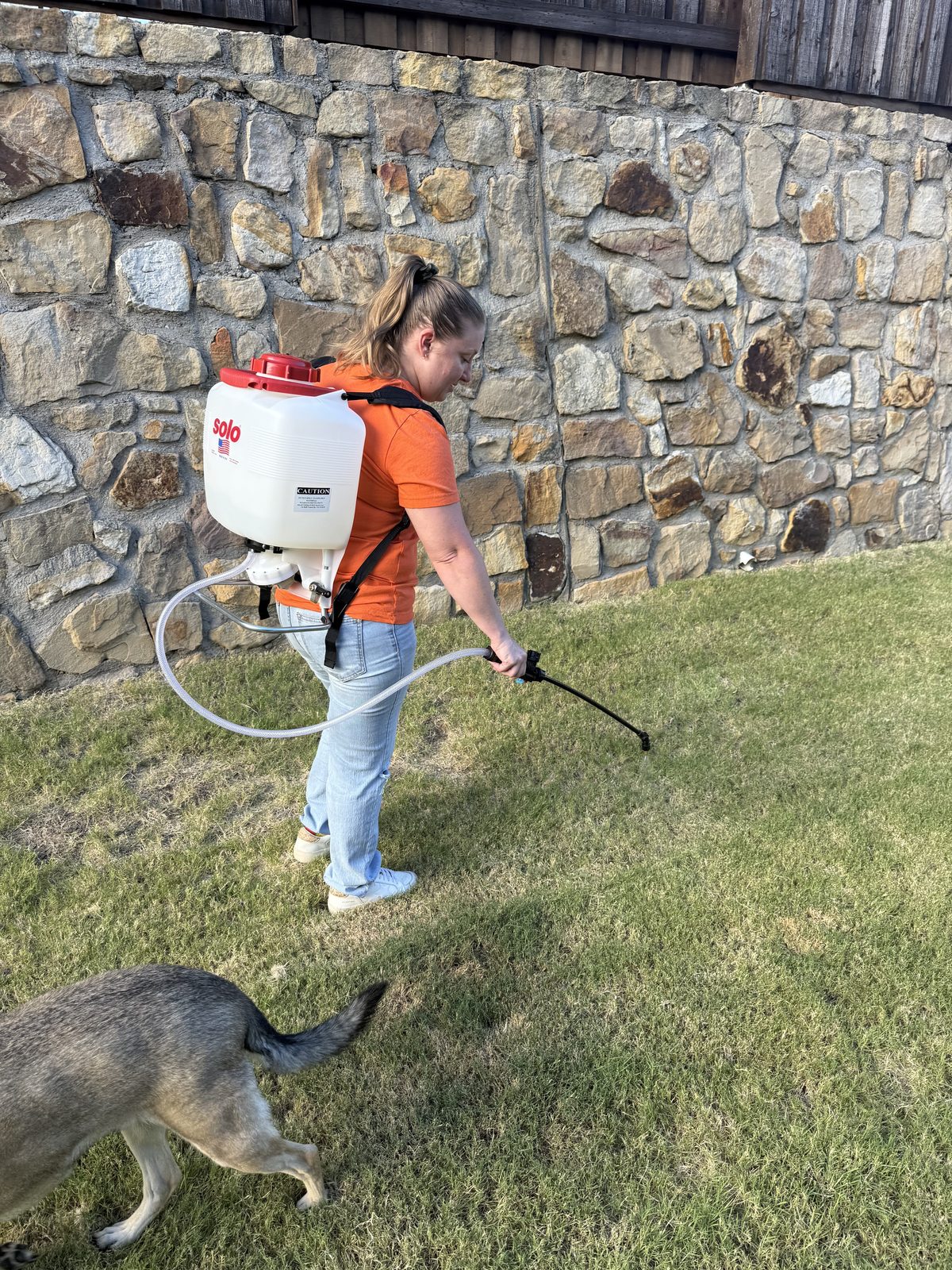 A woman wearing a backpack sprayer is applying pesticide to her lawn while a dog walks by