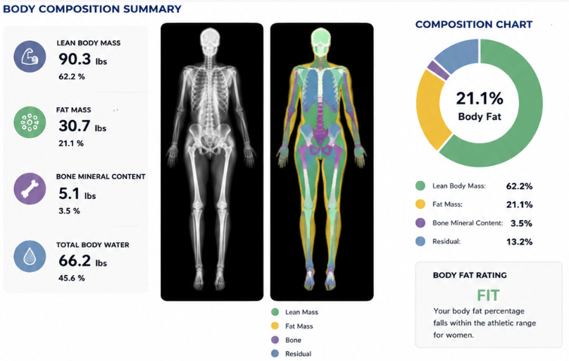 A body composition summary report detailing lean body mass, fat mass, bone mineral content, and total body water with a color-coded chart.