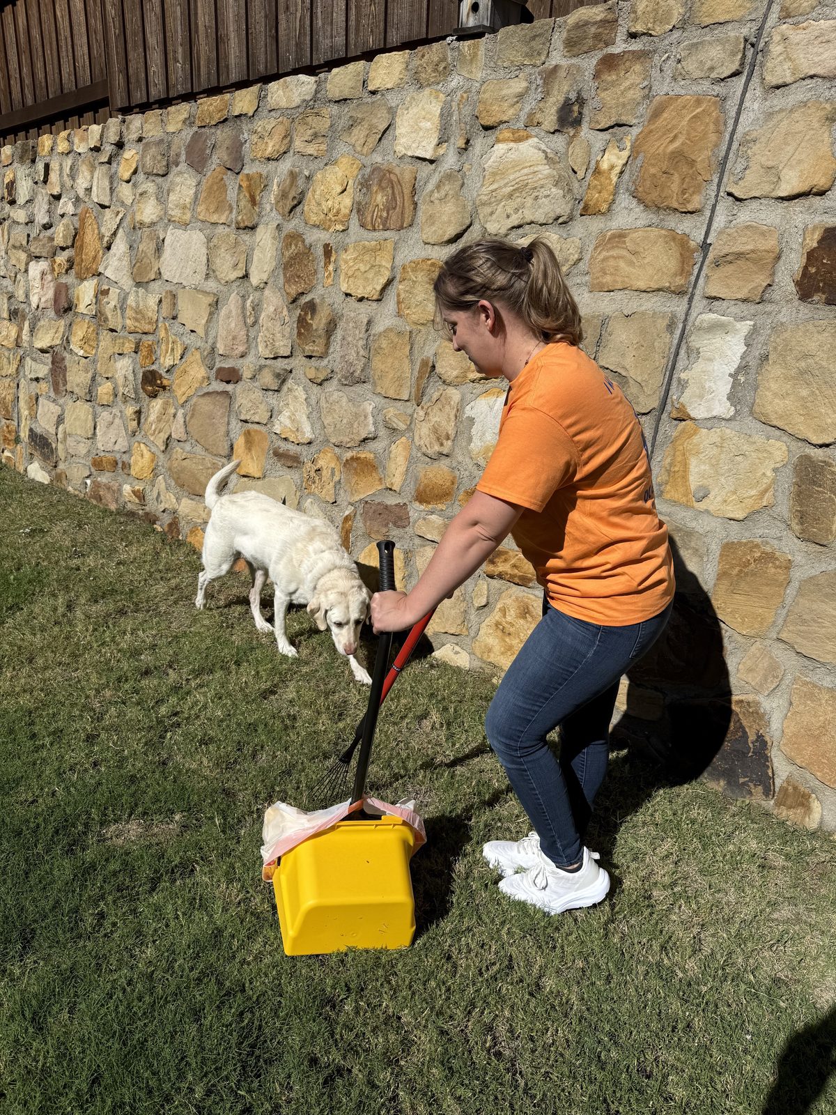 A woman in an orange shirt uses a dog waste scooper near a white dog on a grassy area