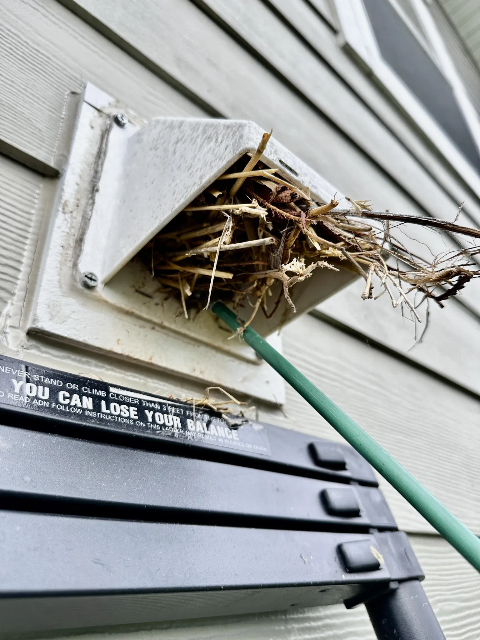 Wall vent partially blocked with plant debris and twigs