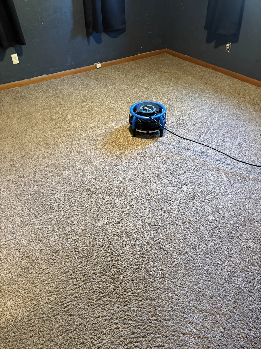Carpet Cleaning work by Aqua Steam