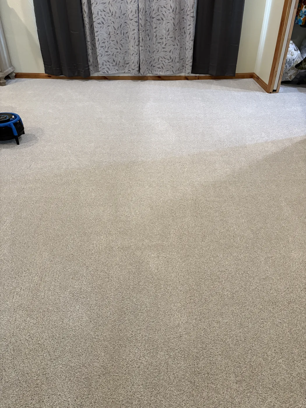 Aqua Steam cleaning work
