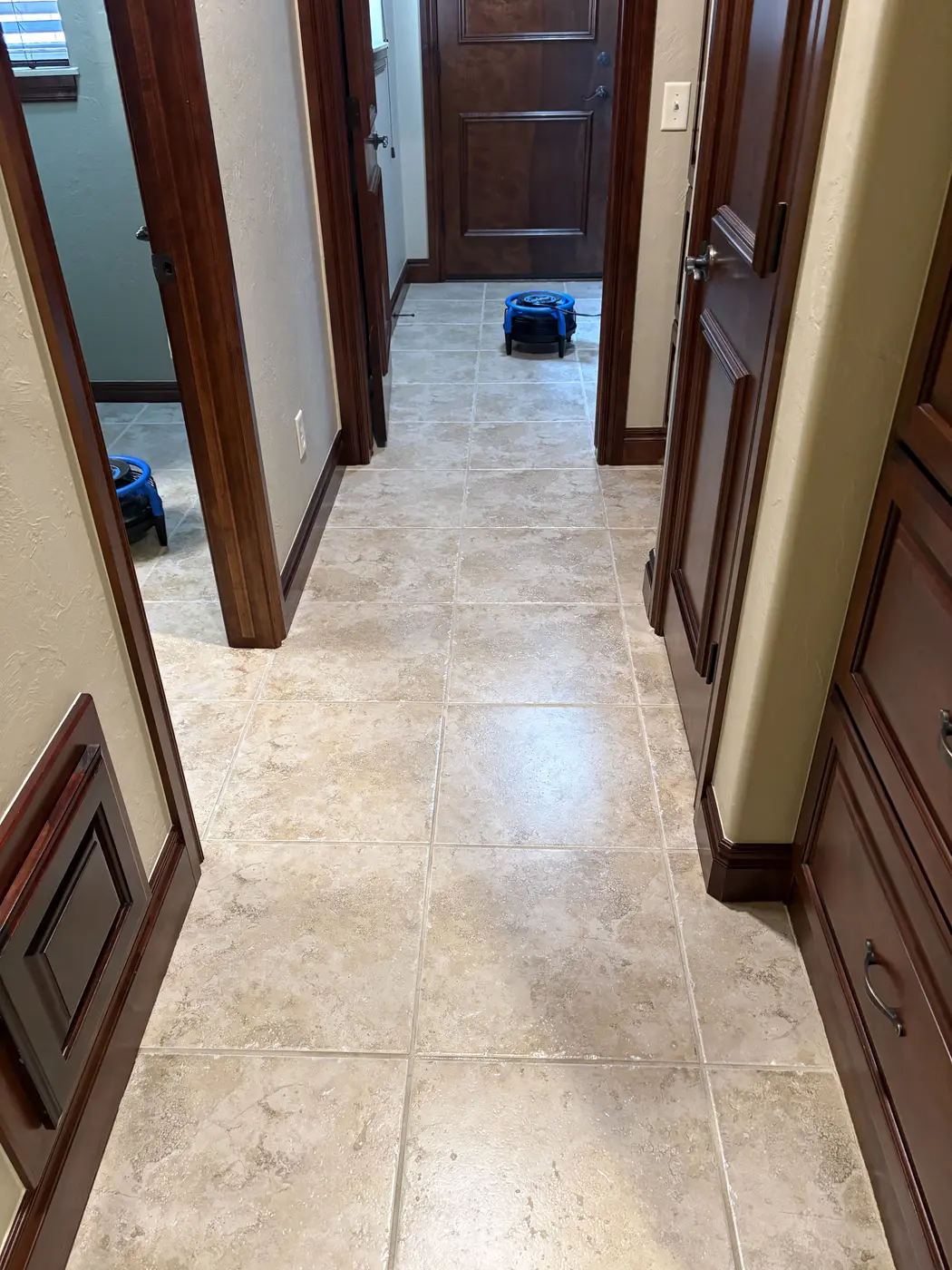 Aqua Steam cleaning work