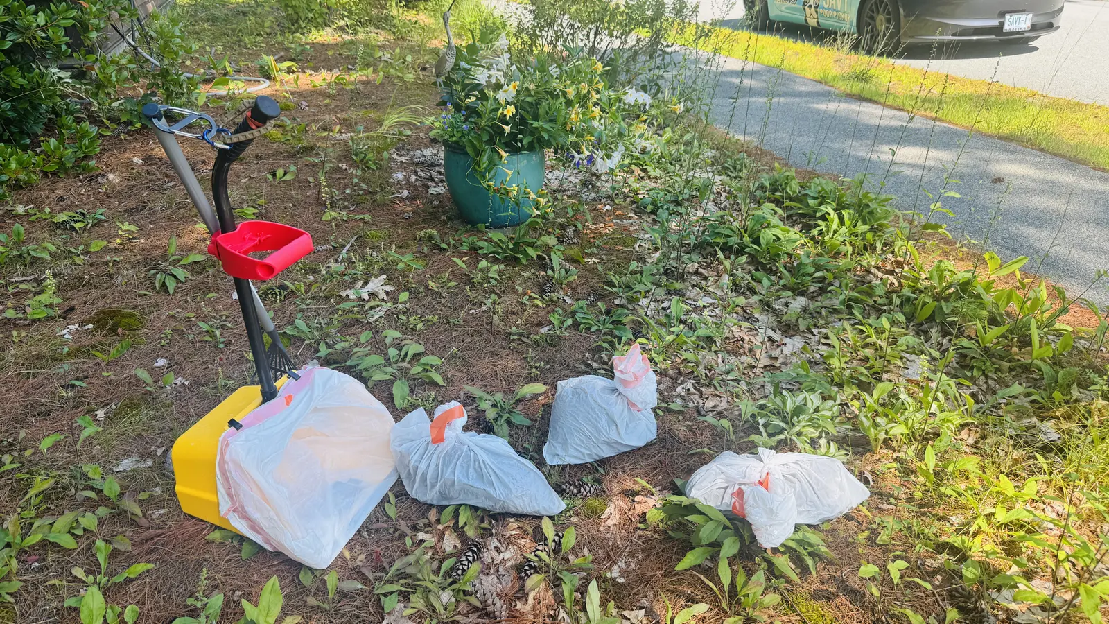 Yellow pet waste scoop with a red handle beside filled white bags during a yard cleanup
