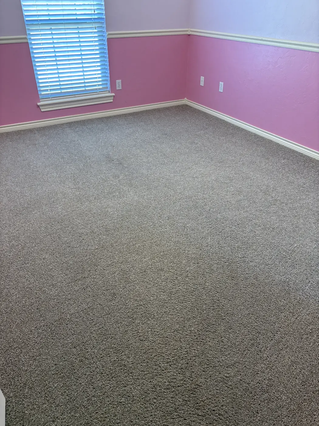 Carpet cleaning at an Aqua Steam job