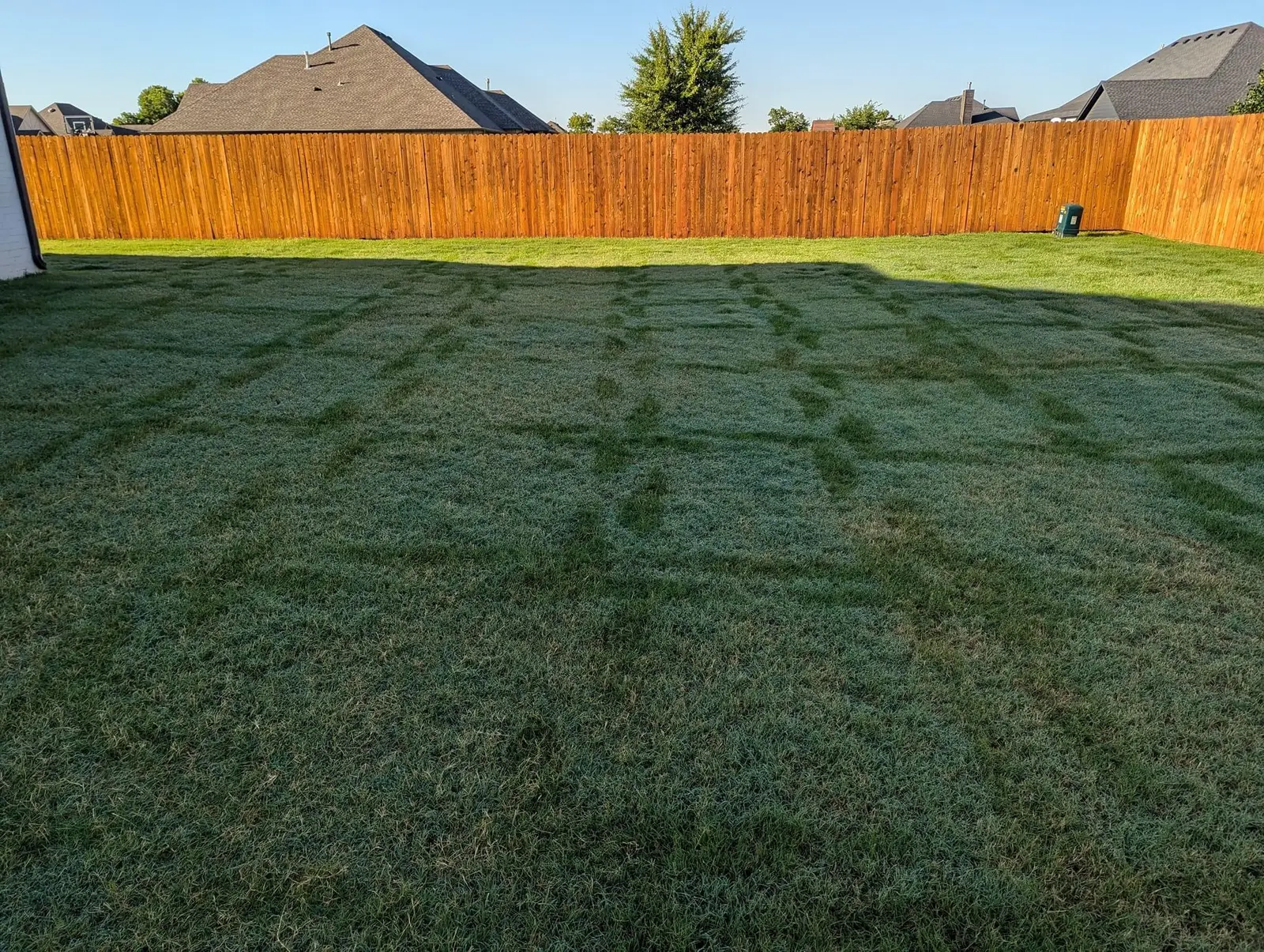 Freshly mowed backyard lawn with neat mowing patterns and wooden fence