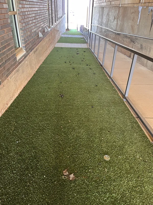 Narrow outdoor pathway lined with artificial turf between brick walls, with debris and leaves scattered across the surface