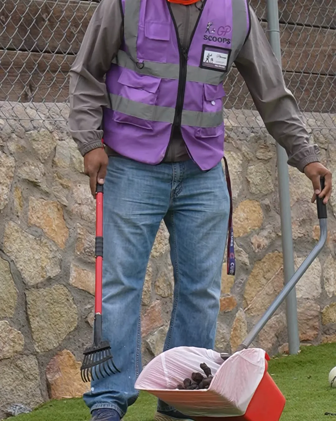 GP Scoops service provider in a purple branded vest with a rake and a lined pan on artificial turf