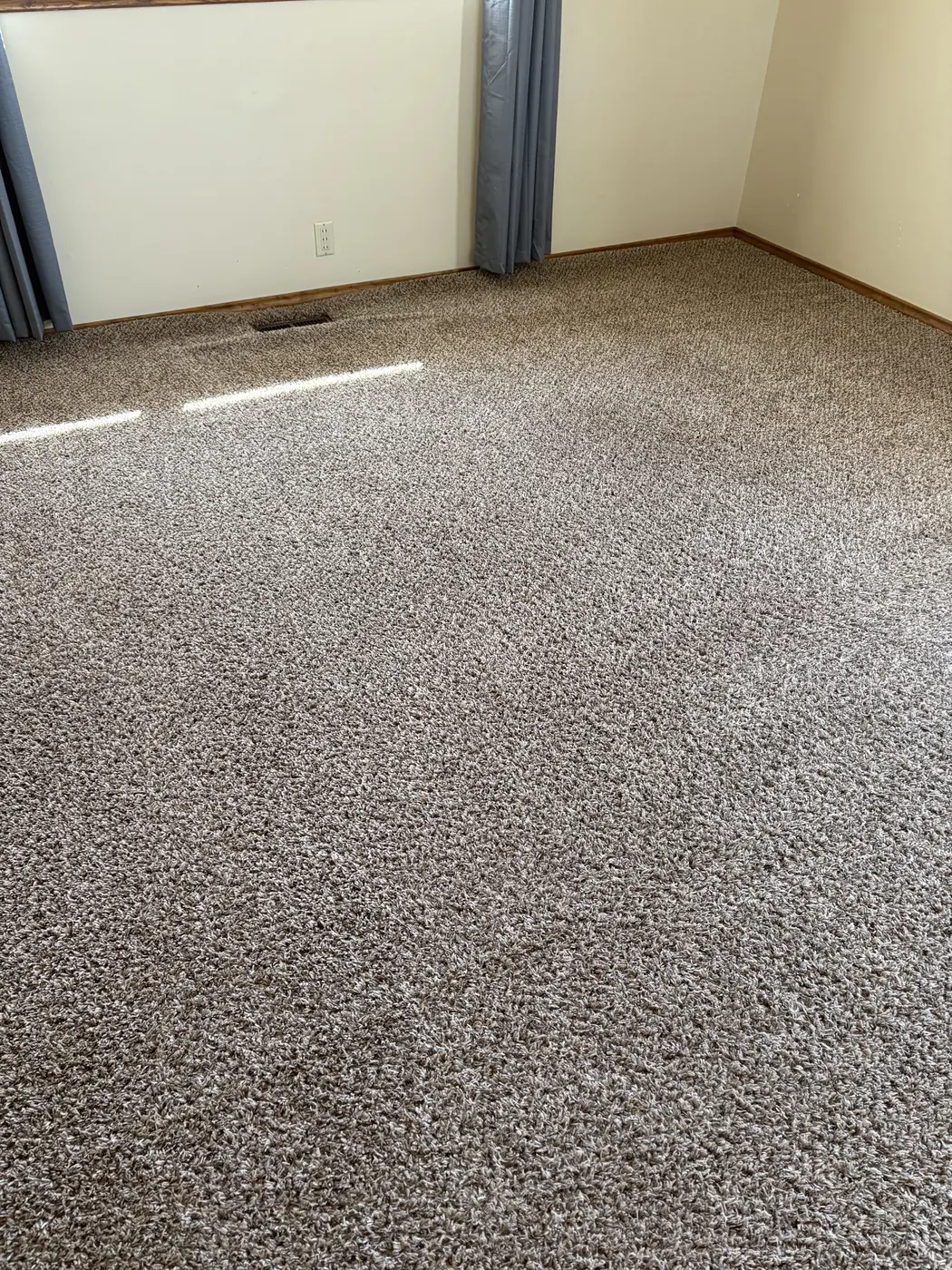 Carpet cleaning work.