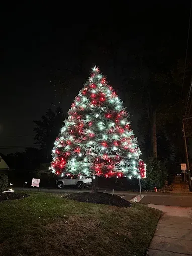 Christmas lighting installed by JVS Christmas Lighting
