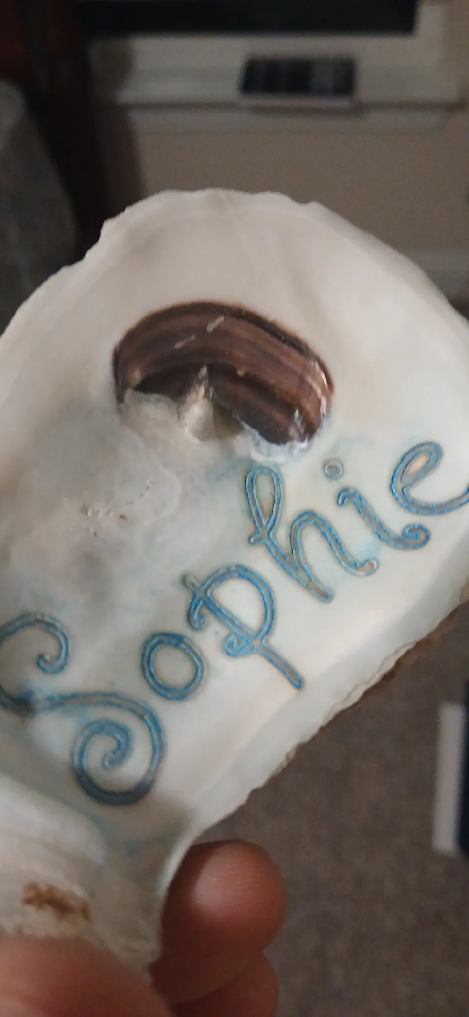 Hand holding an oyster shell with Sophie in blue script