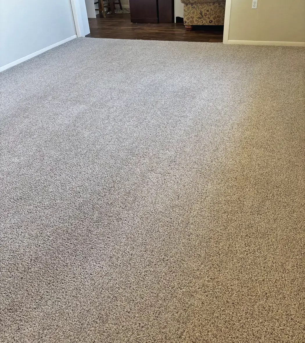 A freshly cleaned carpet in a client's home, photographed by Aqua Steam