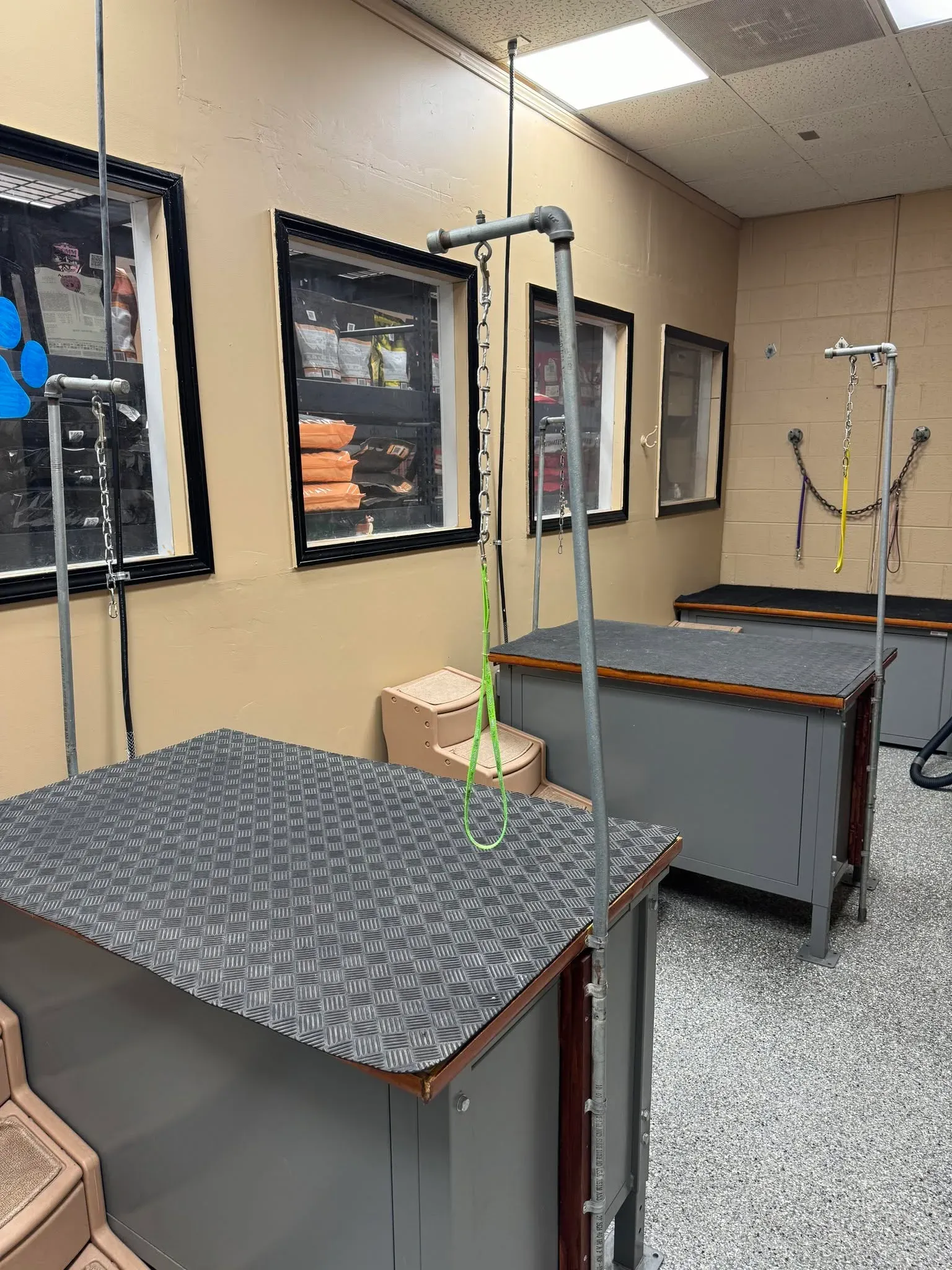 The professional grooming stations
