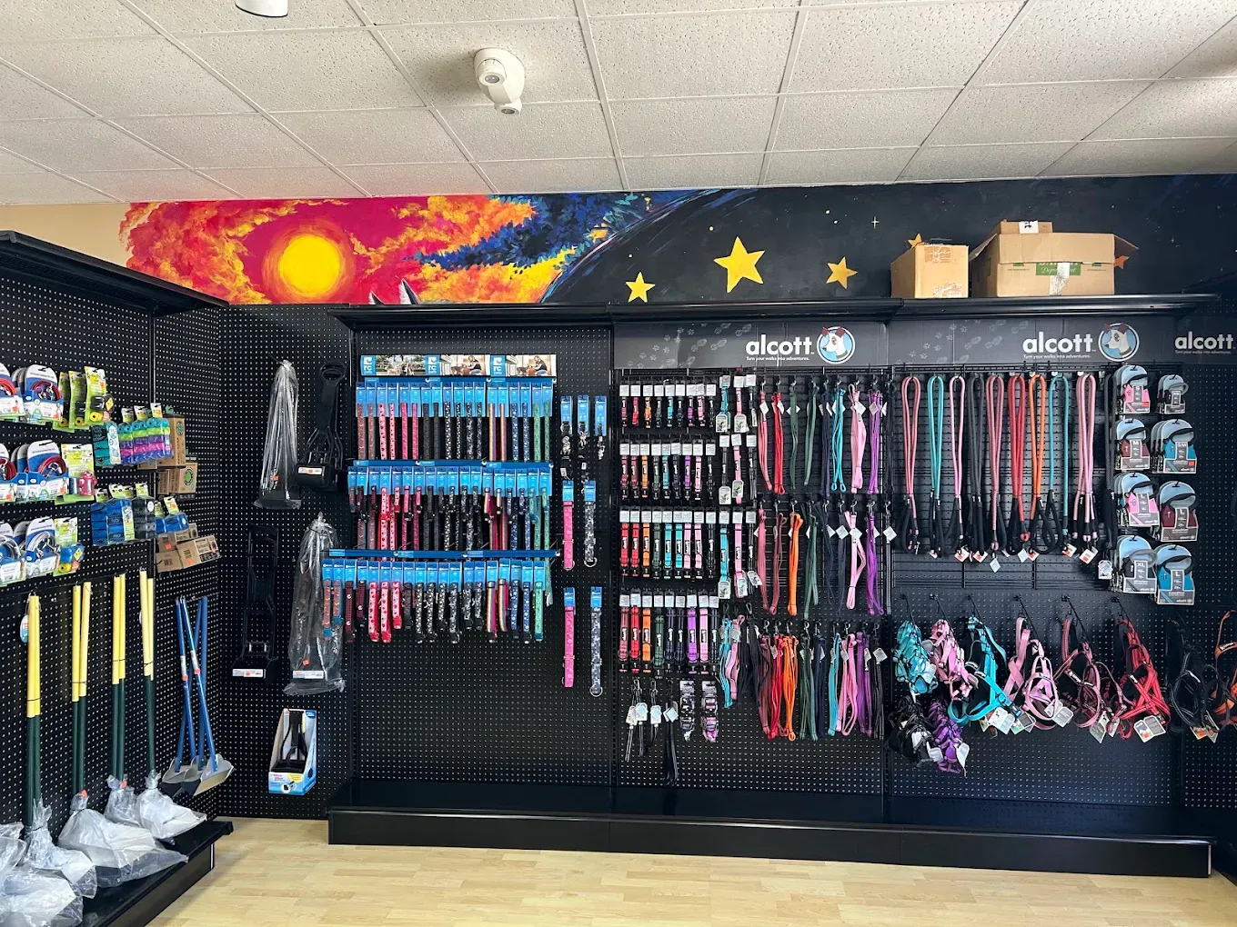 The stocked supply wall at the Dog O Mat shop