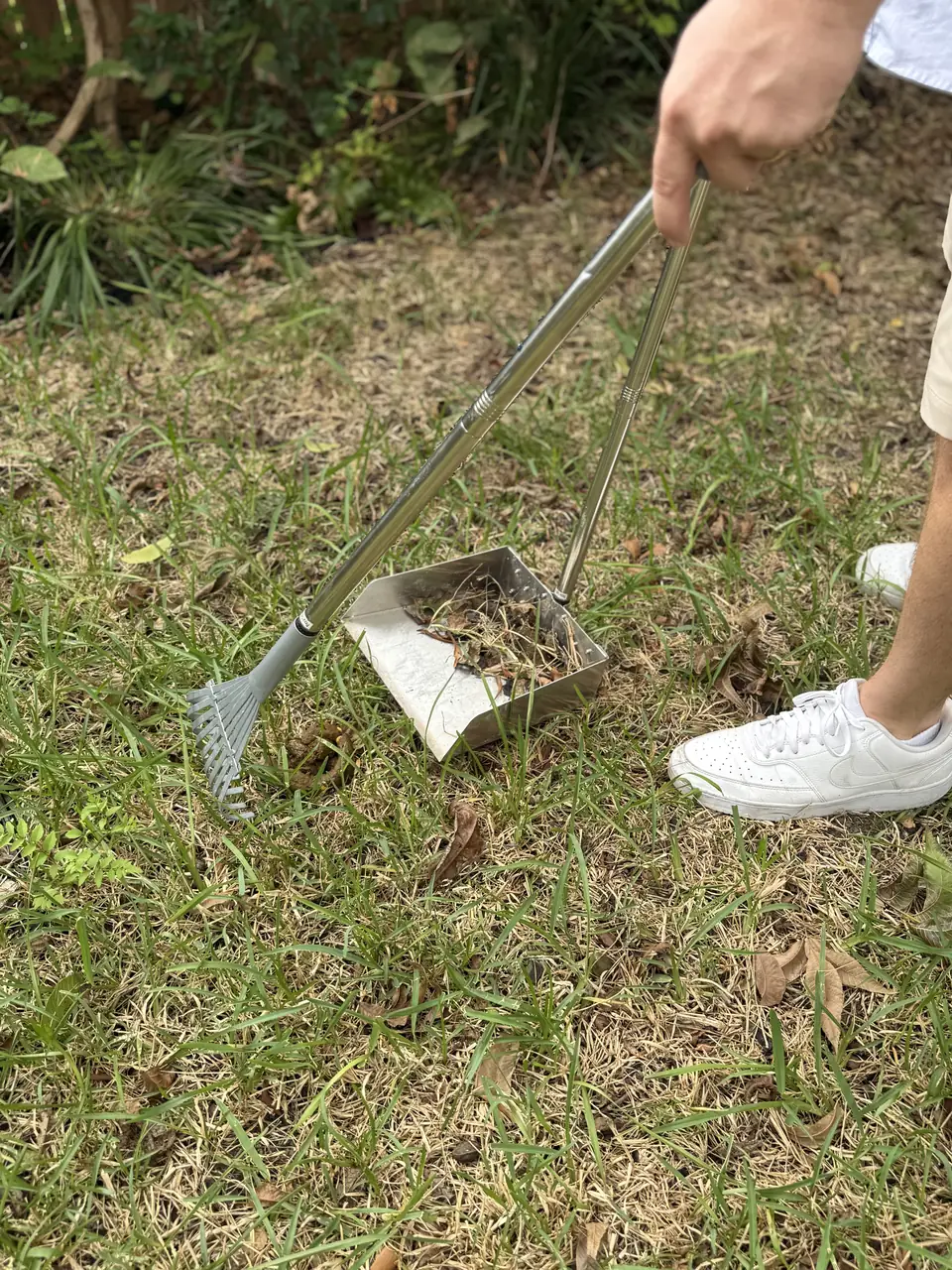 Close-up of a rake and a waste pan picking up pet waste in the grass