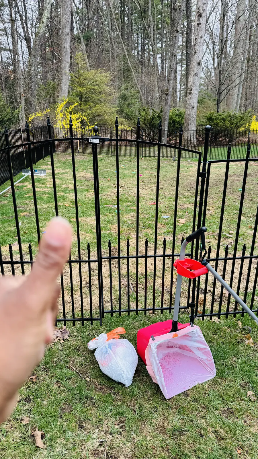 Fenced backyard with collected bags and a container ready for removal during a one time cleanup