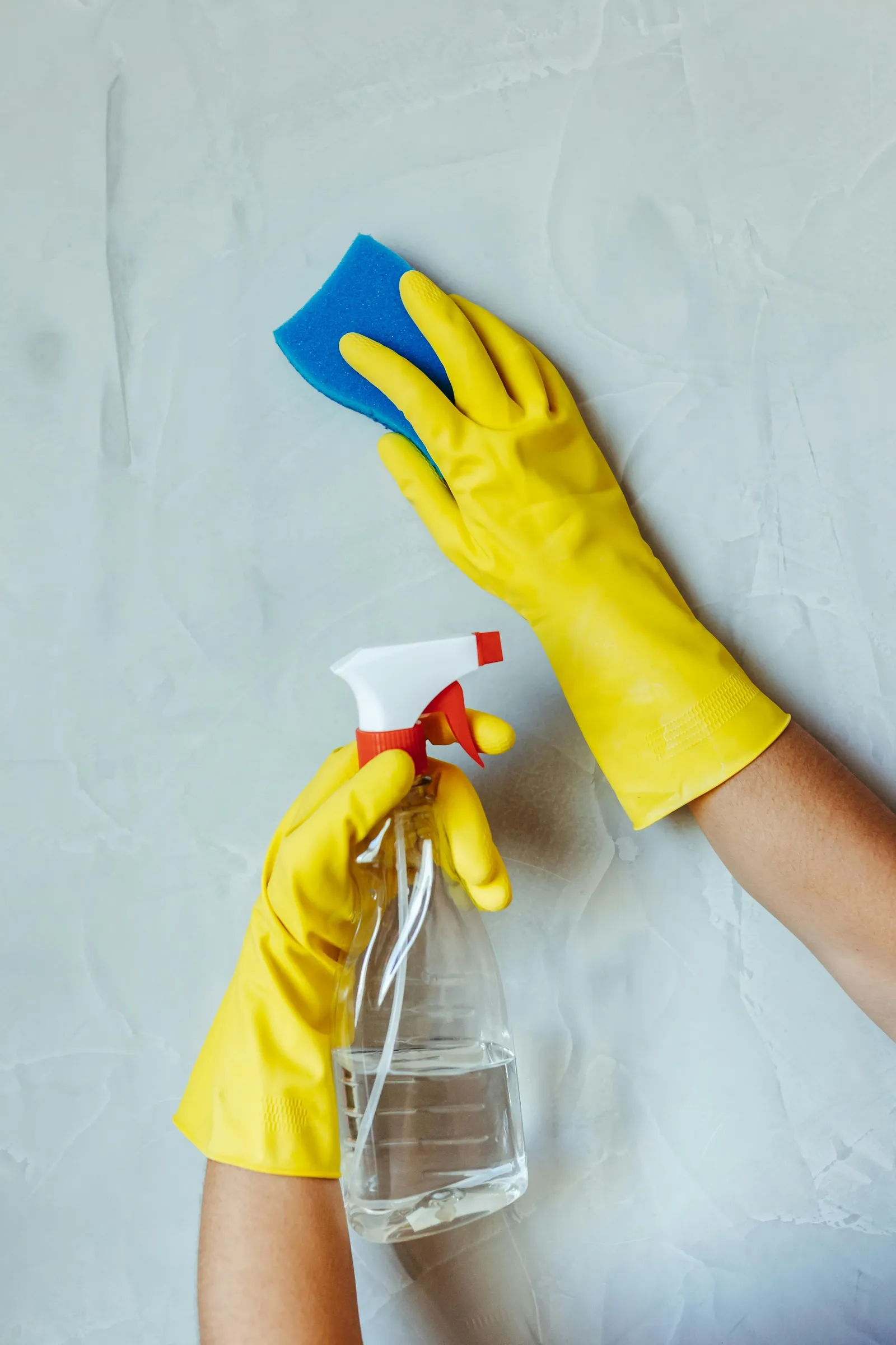 Professional cleaning with gloves and sponge