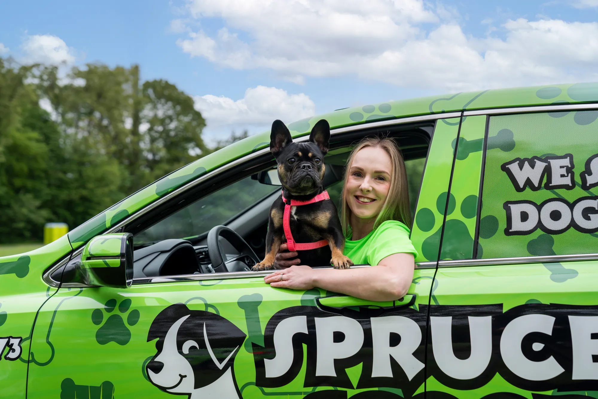 A smiling Spruce Scoop team member leaning out of a wrapped Spruce Scoop car window beside a small black dog in a red harness