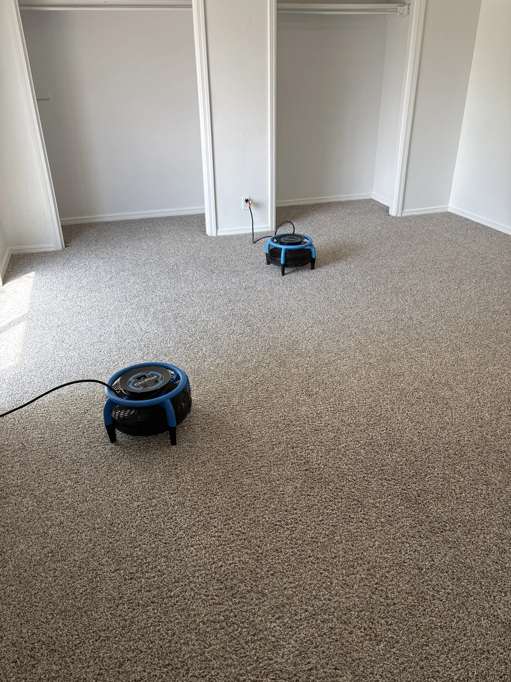 Carpet Cleaning photographed by Aqua Steam