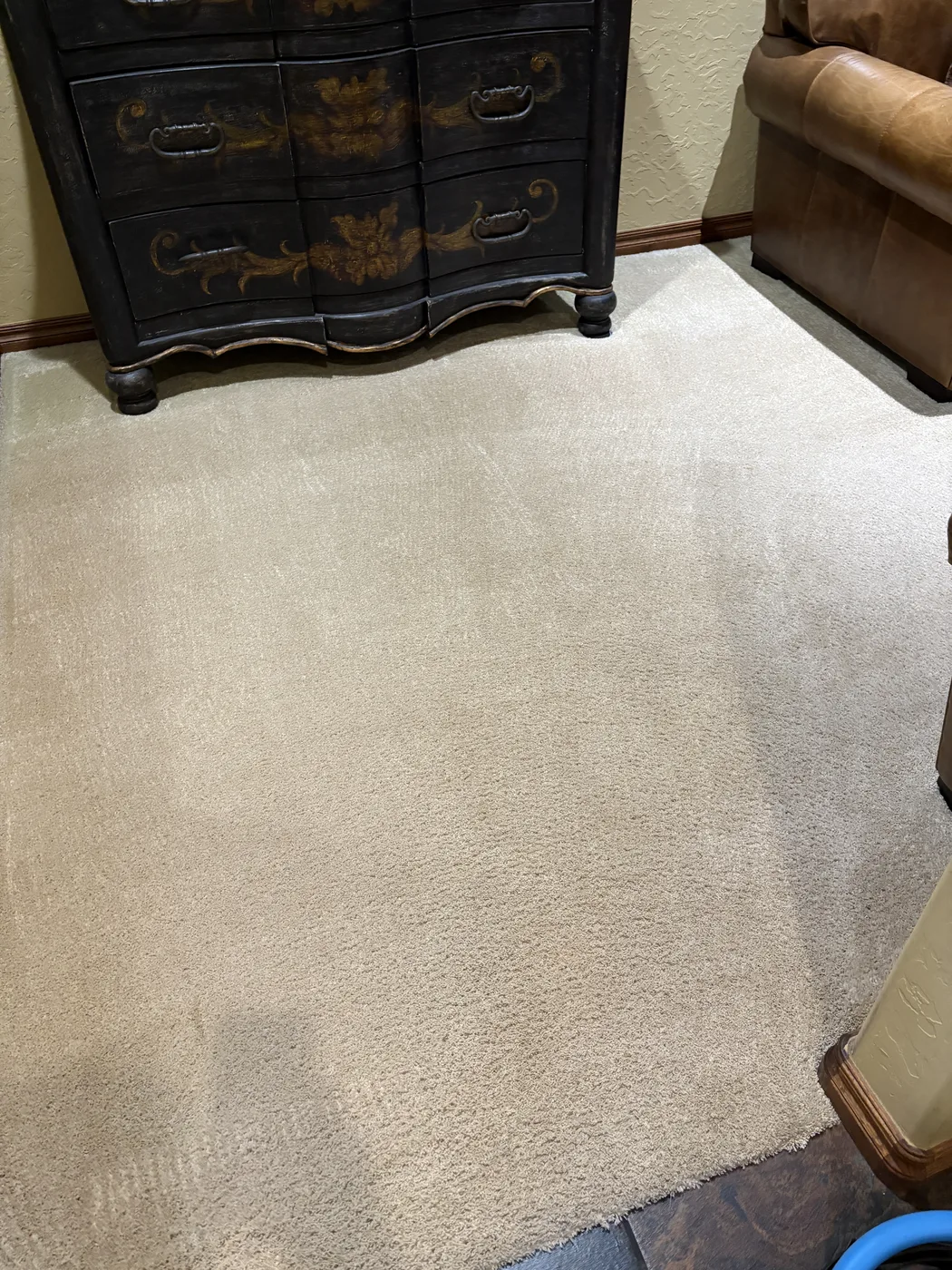 Carpet Cleaning work by Aqua Steam