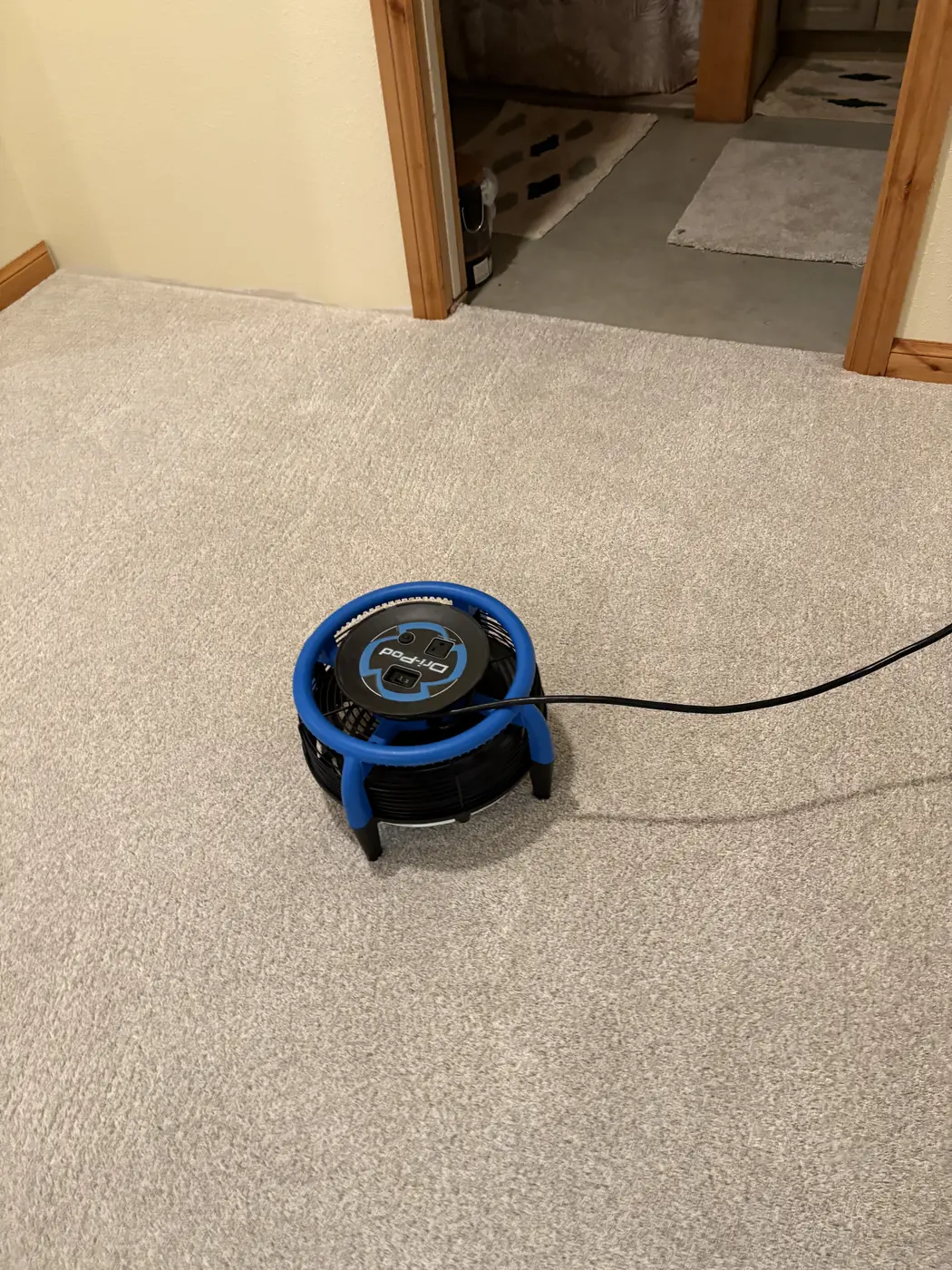 Aqua Steam cleaning work