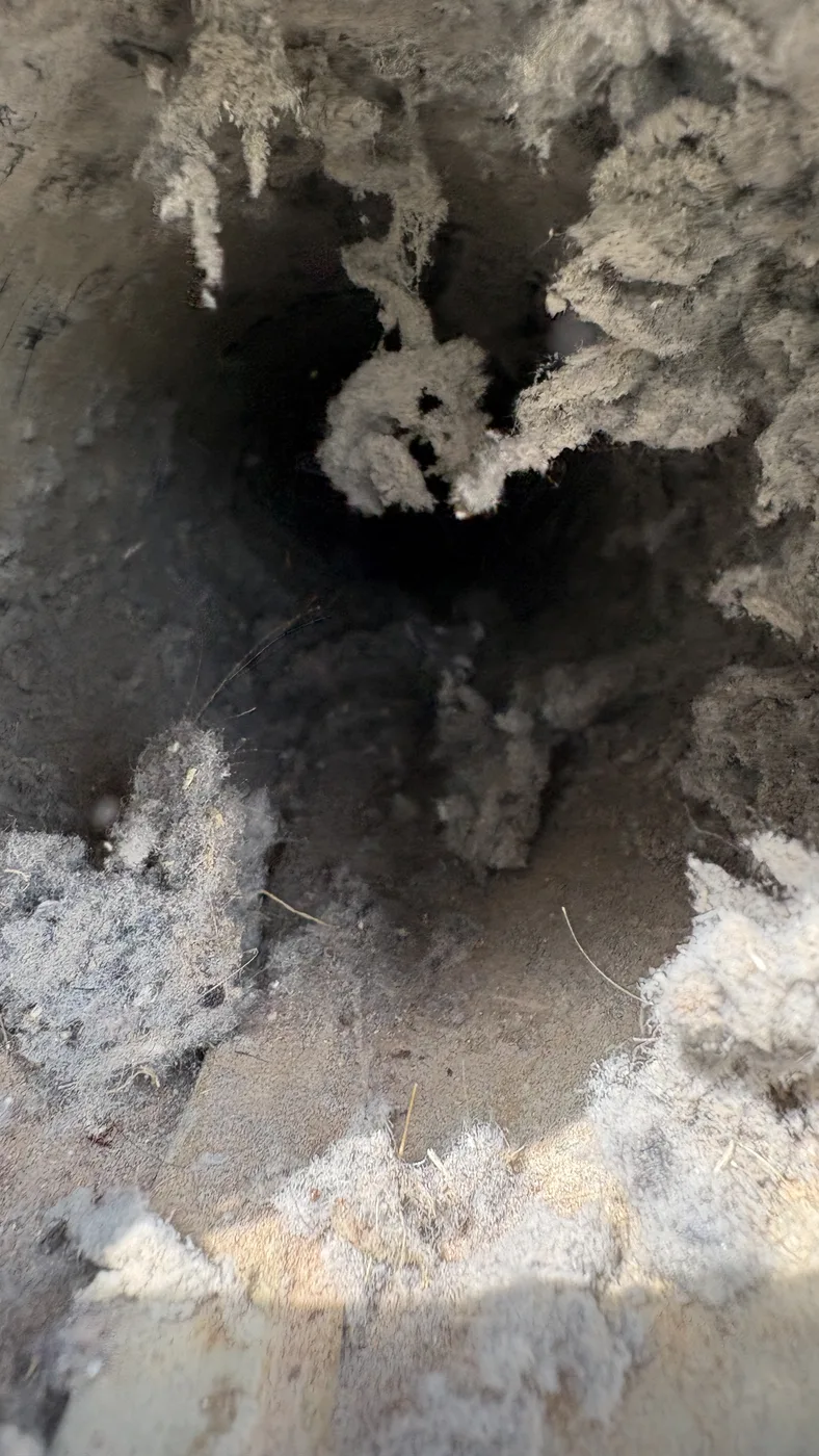 Dryer Vent Cleaning work by Aqua Steam