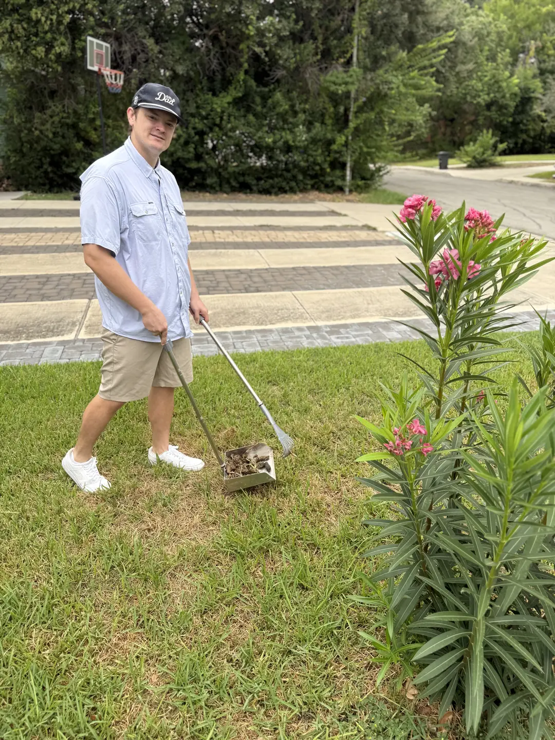 B.P. Foley walking across a lawn with a rake and a waste pan, next to a flowering shrub