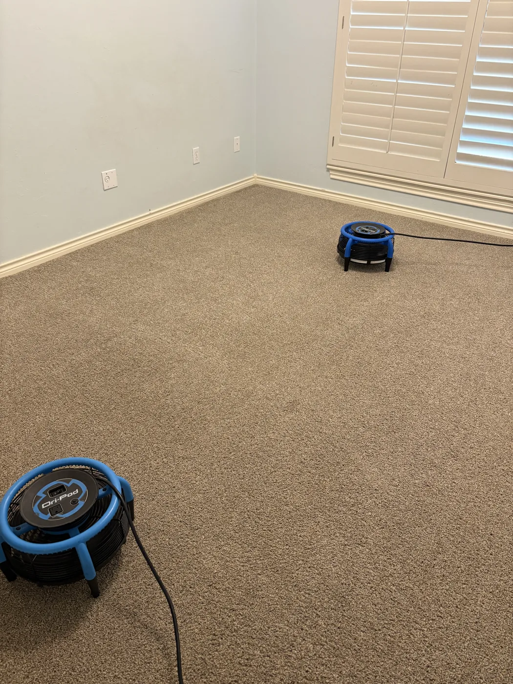 Carpet Cleaning work by Aqua Steam