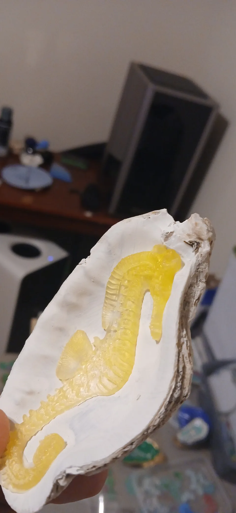 Hand holding a white oyster shell with a yellow seahorse design