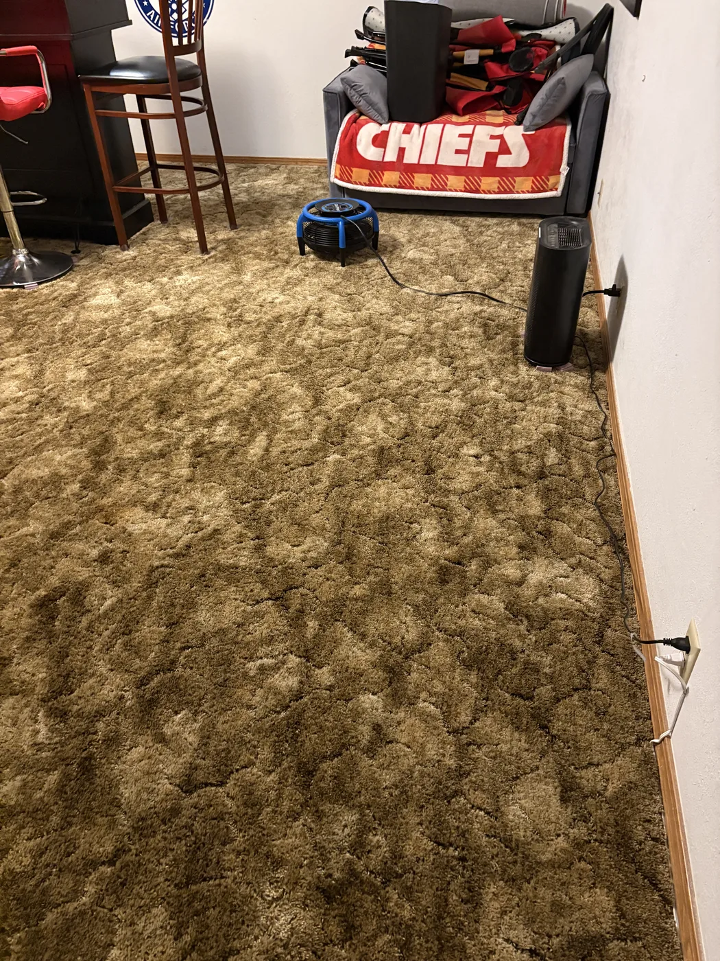 Carpet Cleaning work by Aqua Steam