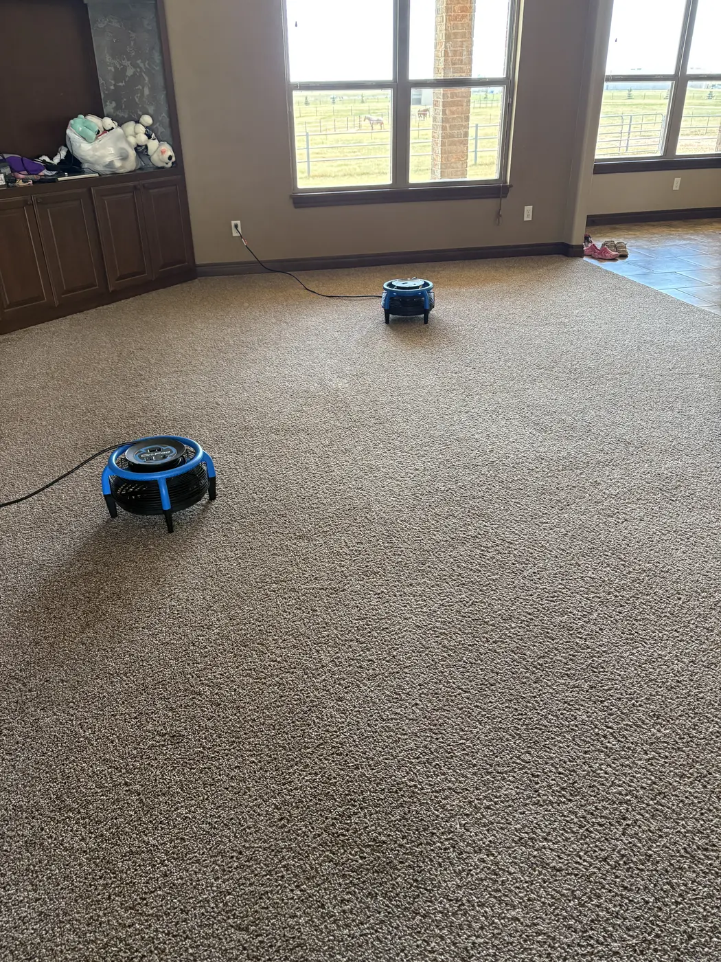 Carpet photographed during an Aqua Steam job