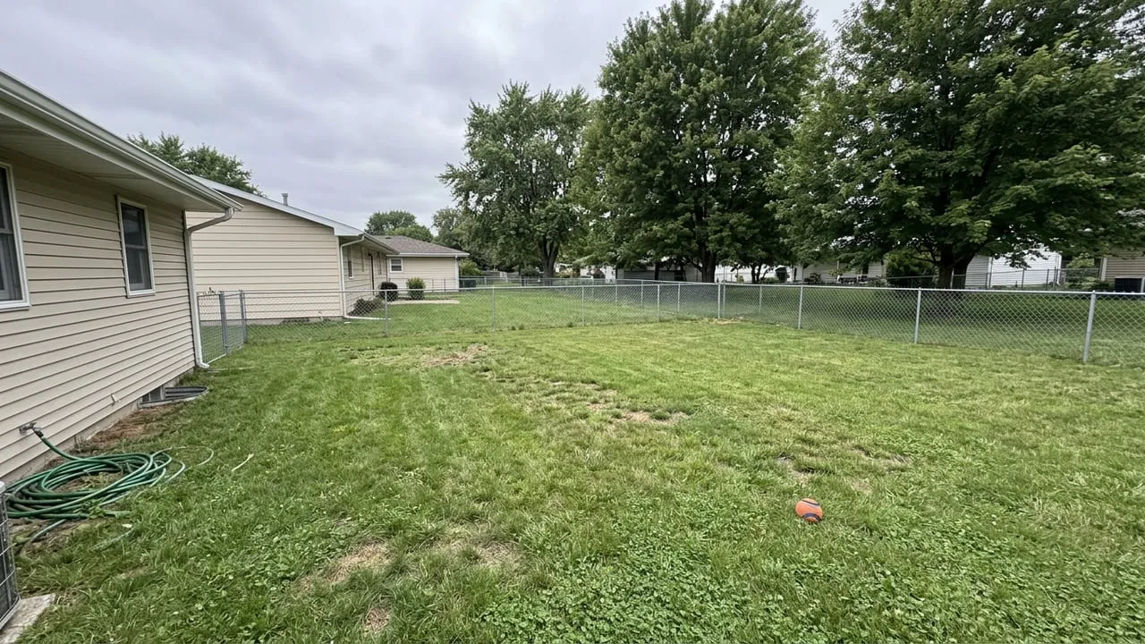 The same backyard completely clean and waste-free after a United Pooper Scoopers visit